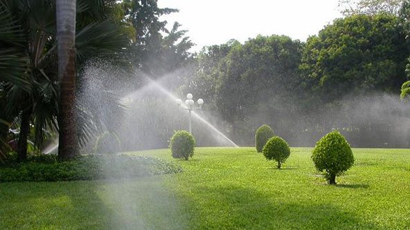 Mantenimiento de Jardines CDMX